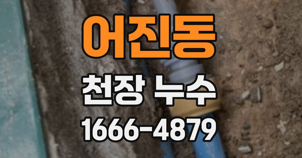 어진동 천장 누수