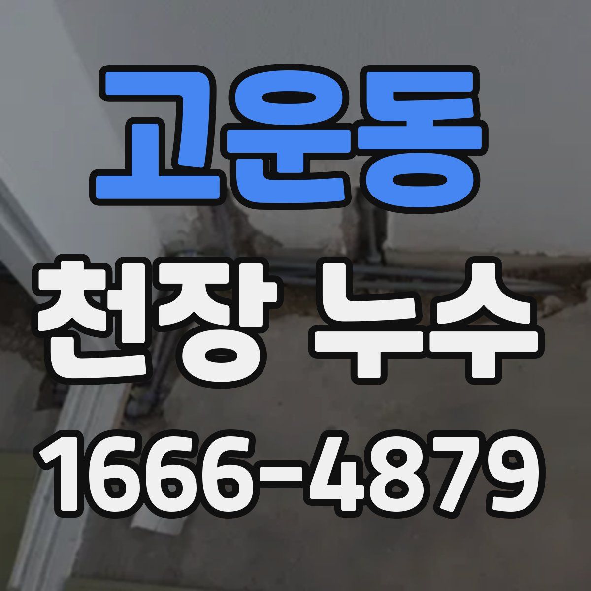 고운동 천장 누수