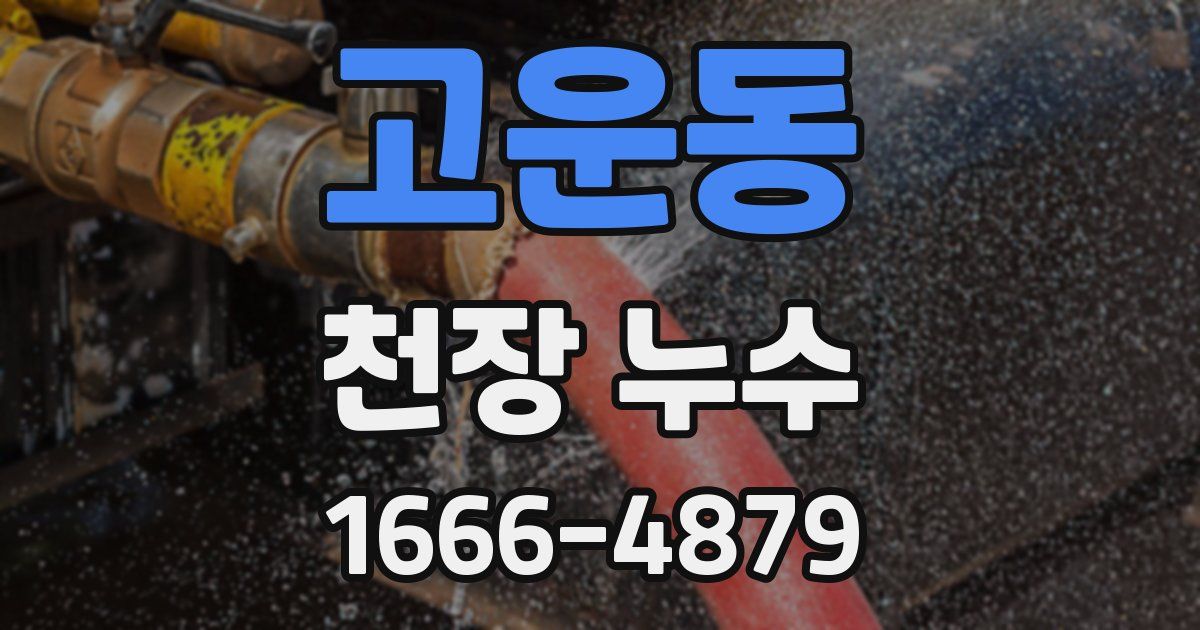 고운동 천장 누수