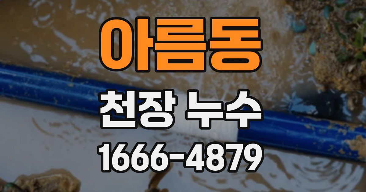 아름동 천장 누수