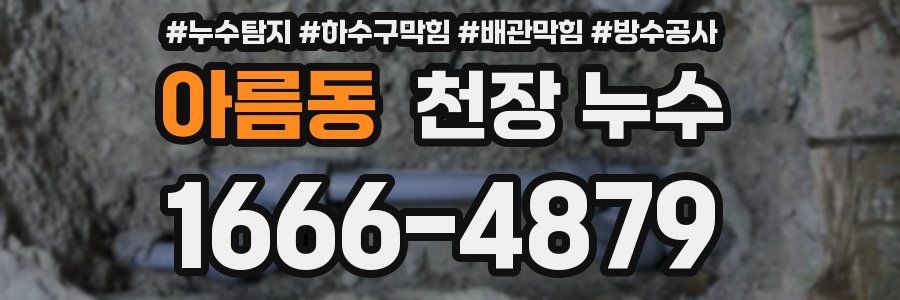 아름동 천장 누수