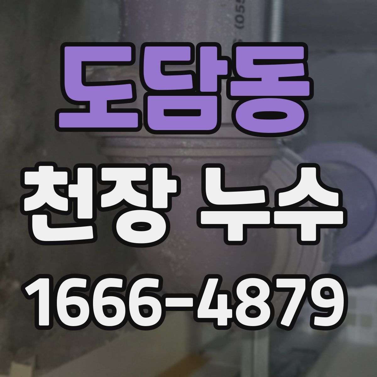 도담동 천장 누수