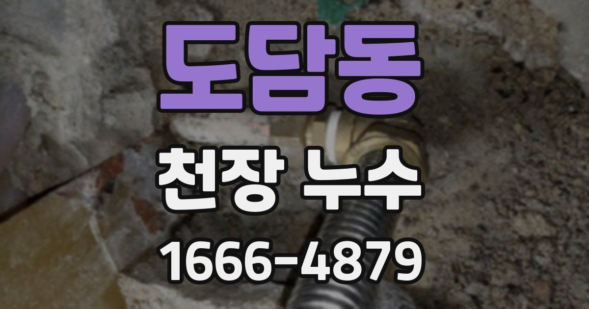 도담동 천장 누수