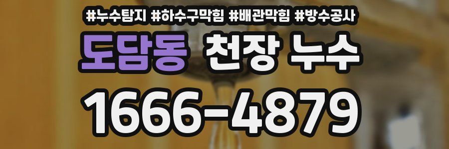 도담동 천장 누수