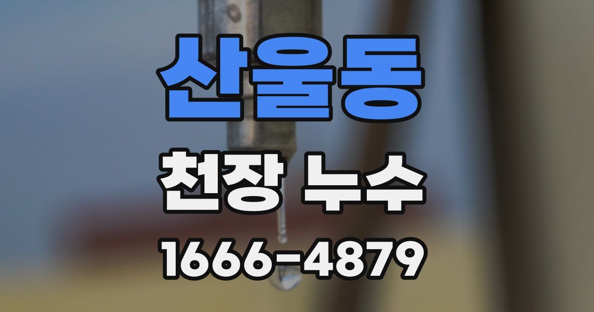 산울동 천장 누수