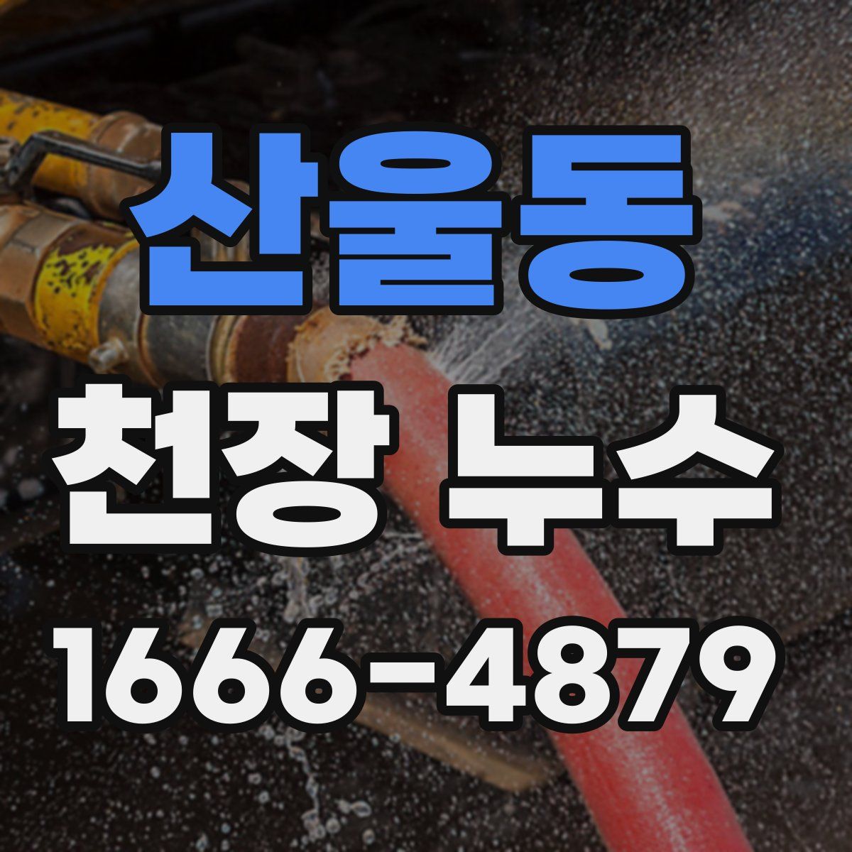 산울동 천장 누수