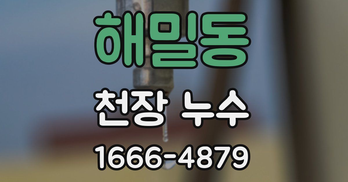 해밀동 천장 누수