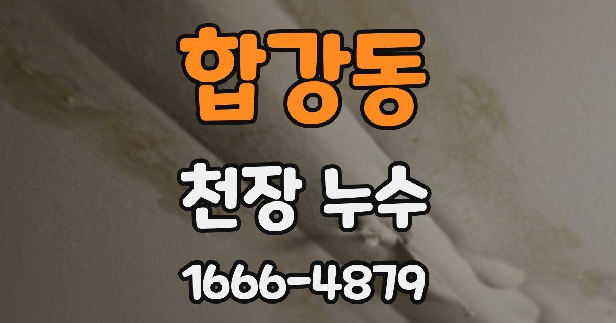 합강동 천장 누수