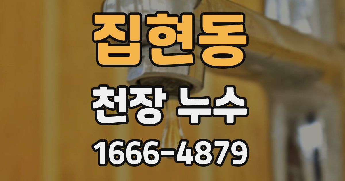 집현동 천장 누수