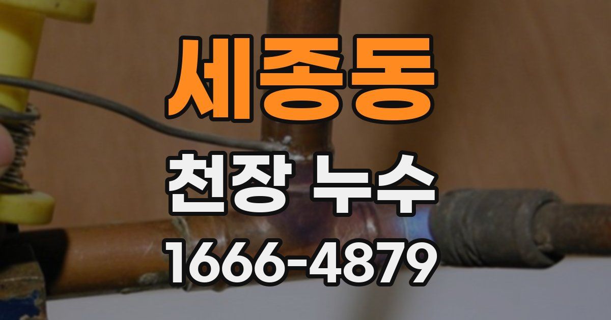 세종동 천장 누수