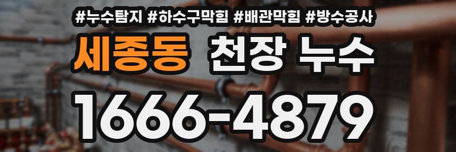 세종동 천장 누수