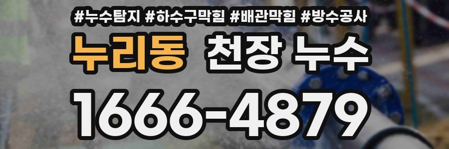 누리동 천장 누수