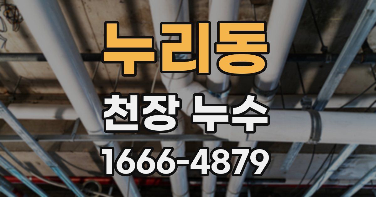 누리동 천장 누수