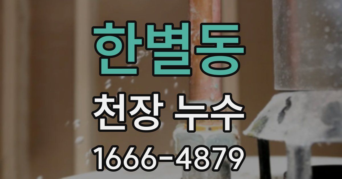 한별동 천장 누수