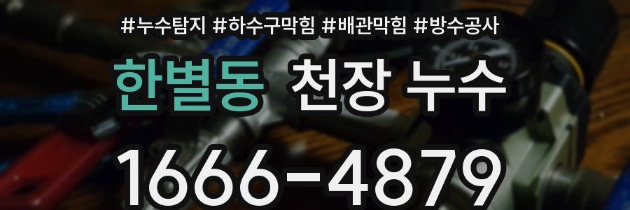 한별동 천장 누수