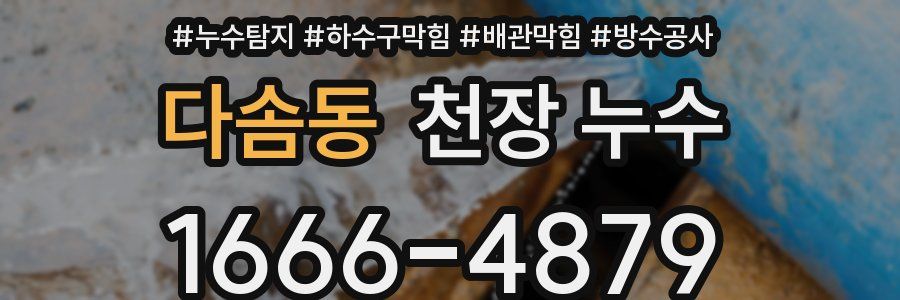 다솜동 천장 누수