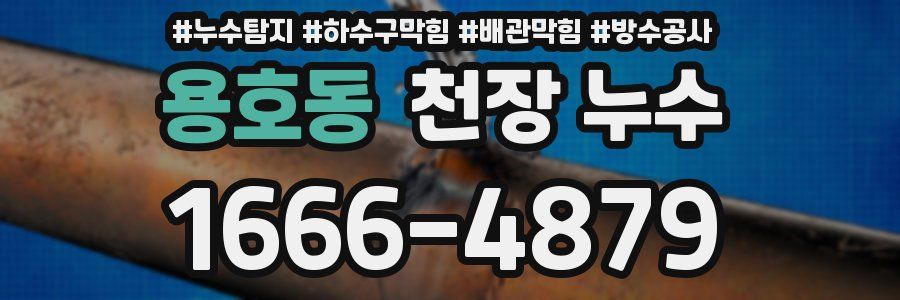 용호동 천장 누수