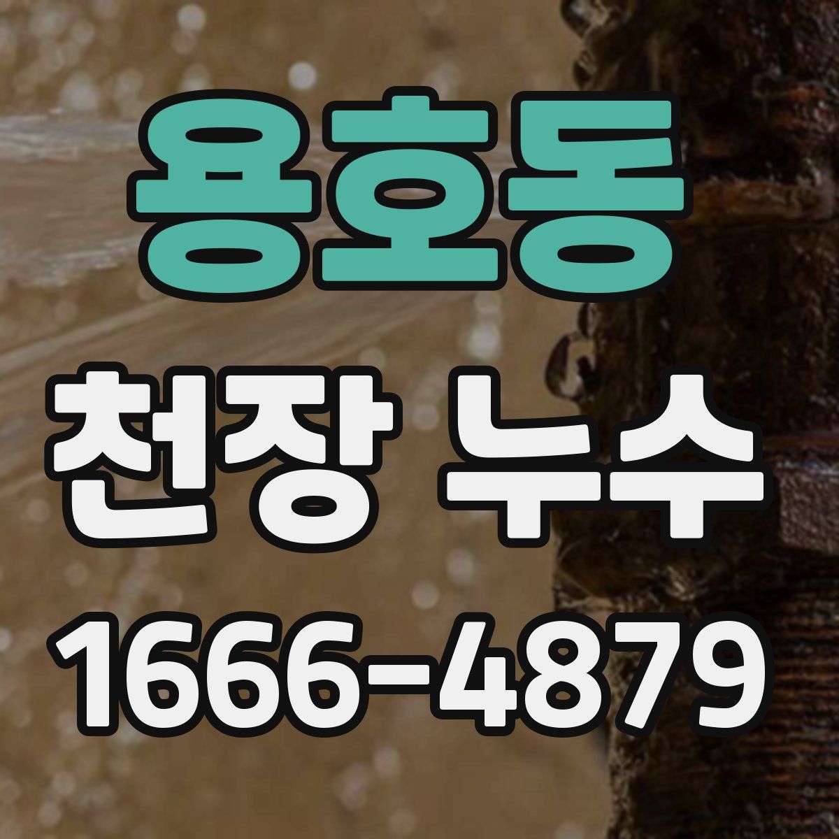 용호동 천장 누수