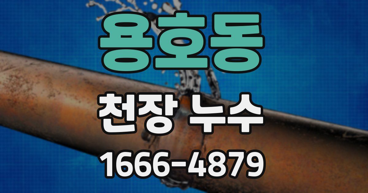용호동 천장 누수