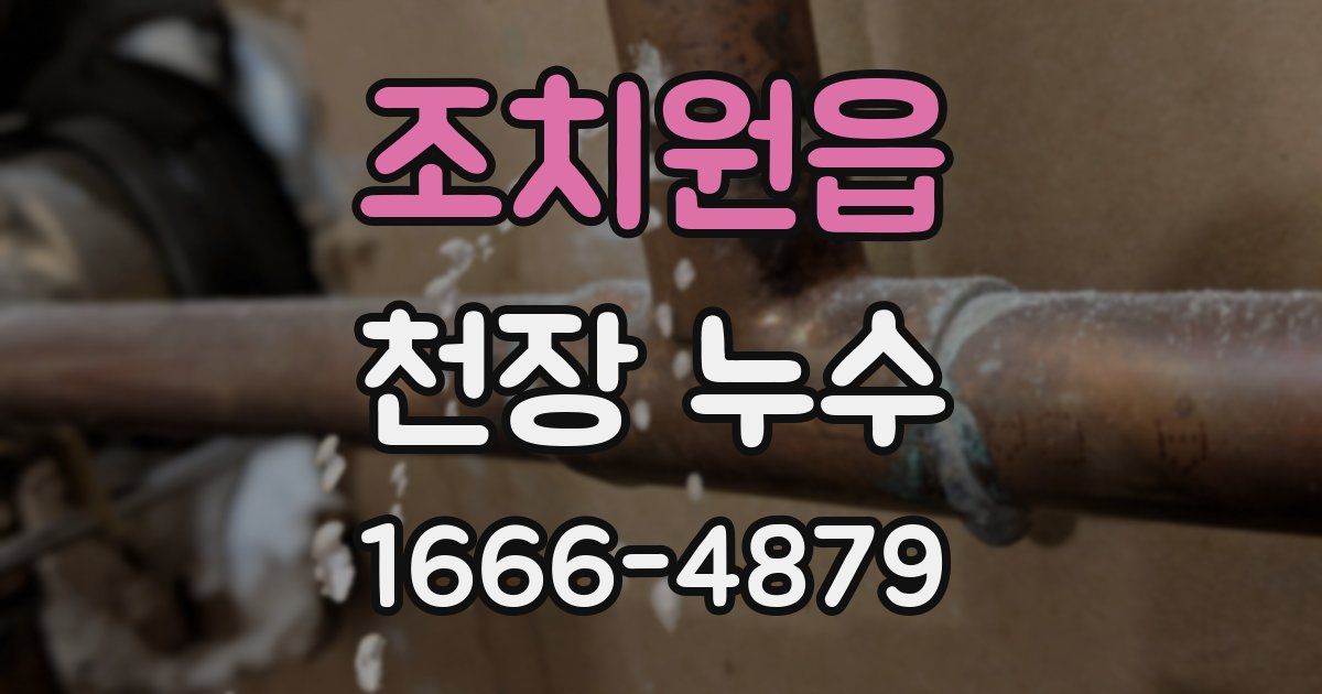 조치원읍 천장 누수