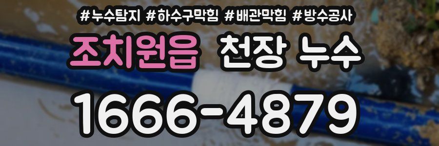 조치원읍 천장 누수