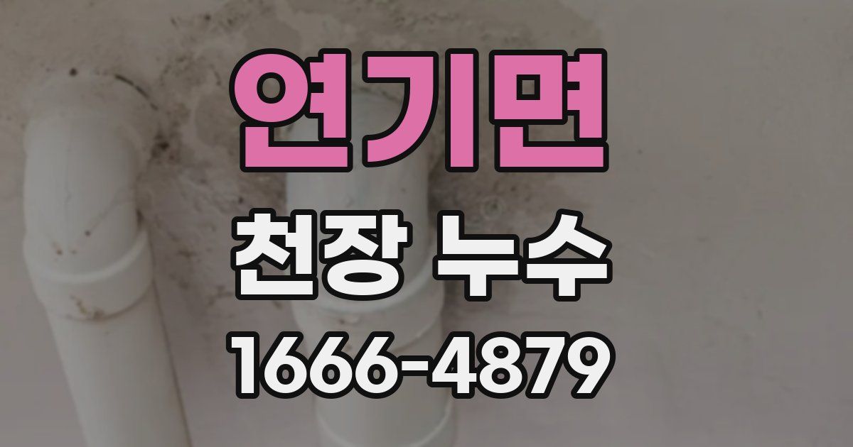 연기면 천장 누수