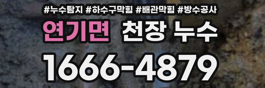 연기면 천장 누수