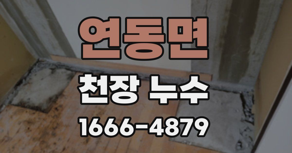 연동면 천장 누수