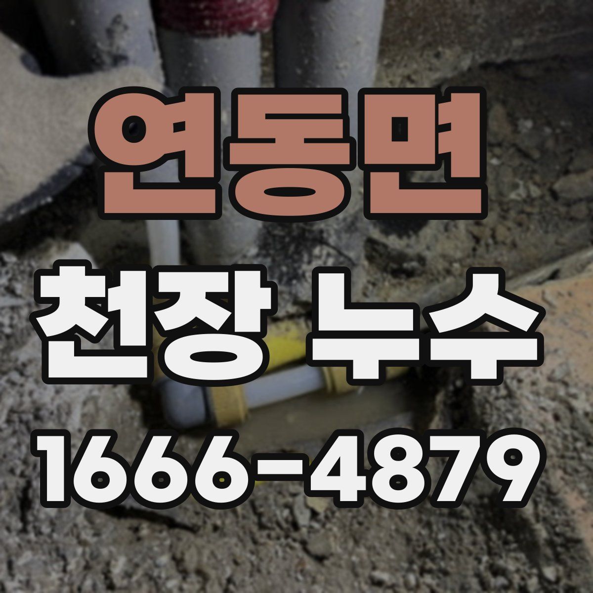 연동면 천장 누수