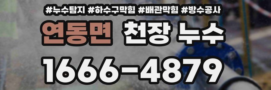 연동면 천장 누수