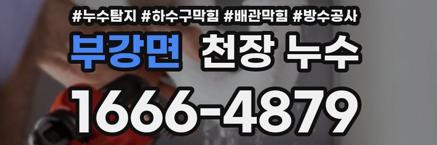 부강면 천장 누수