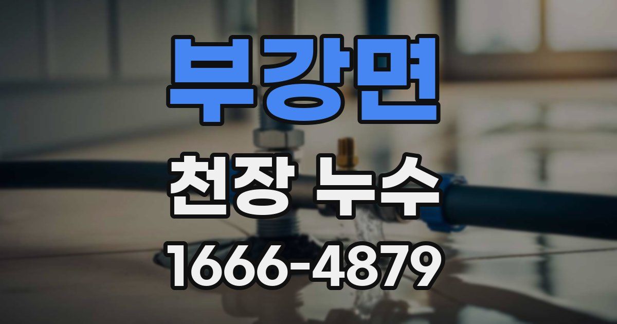 부강면 천장 누수