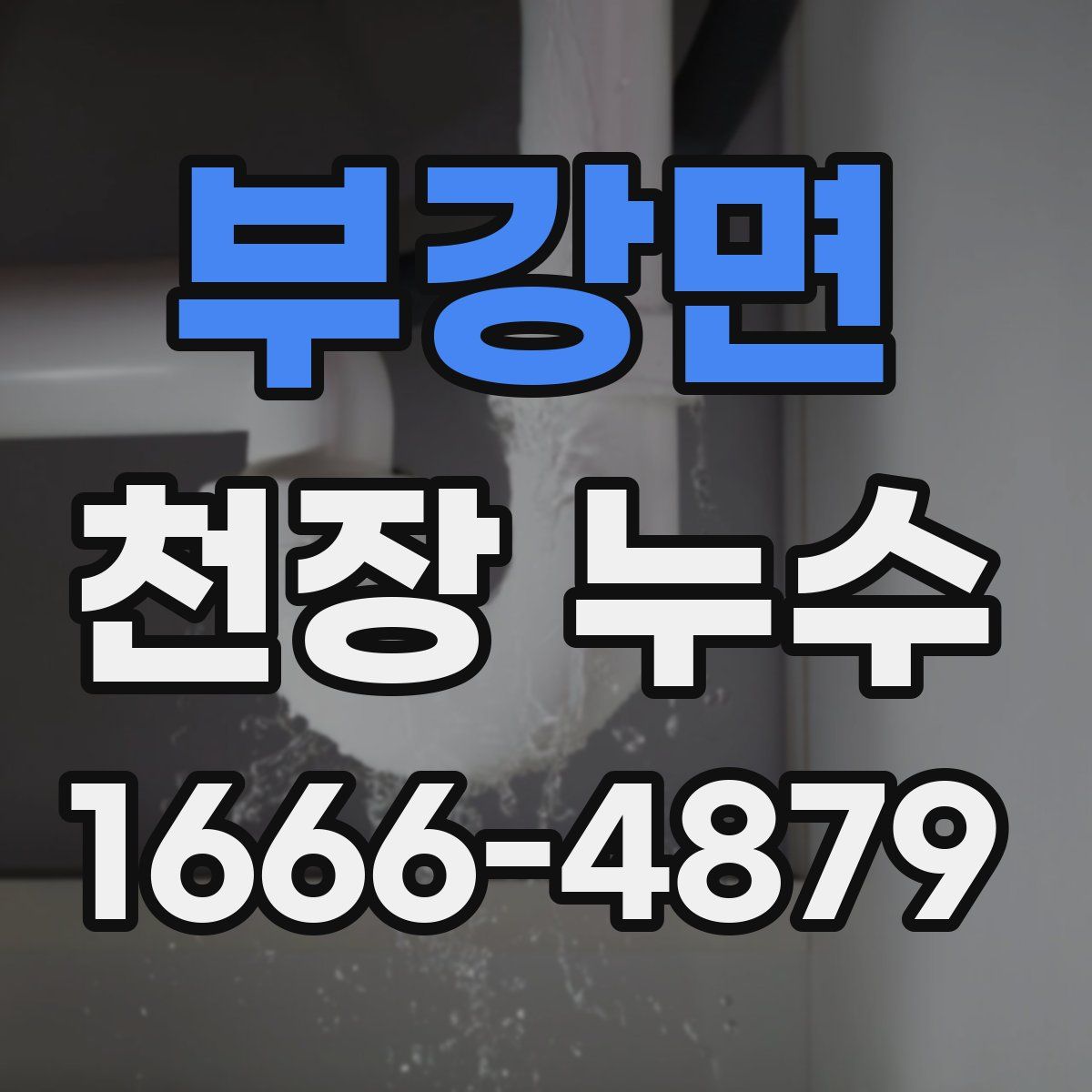 부강면 천장 누수