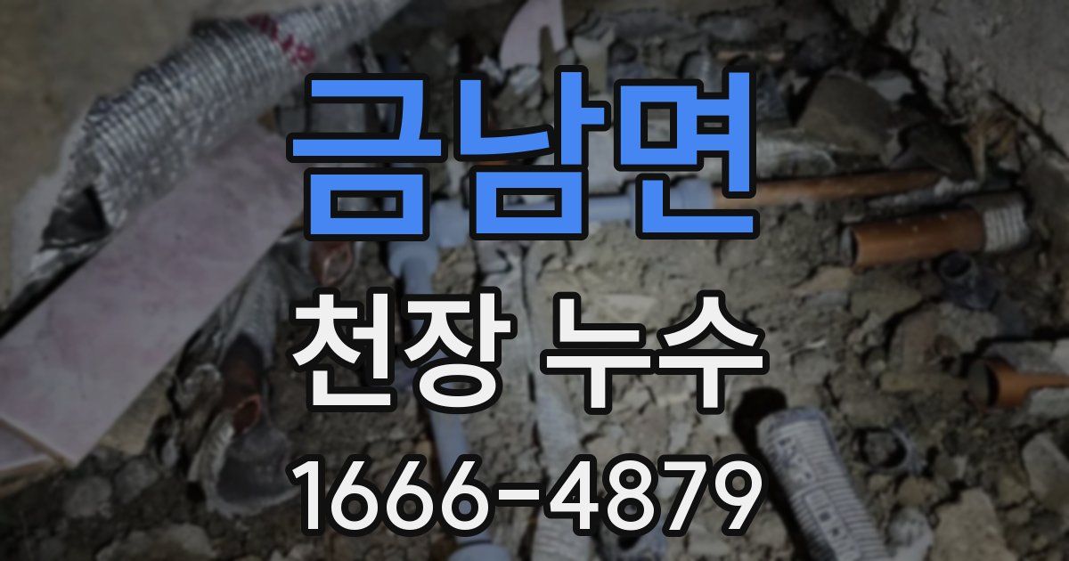 금남면 천장 누수