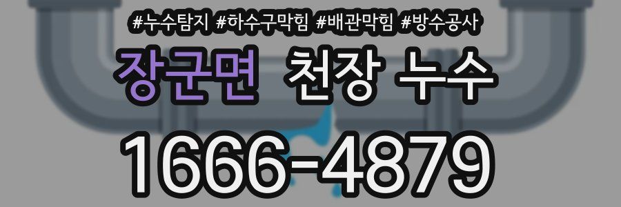 장군면 천장 누수