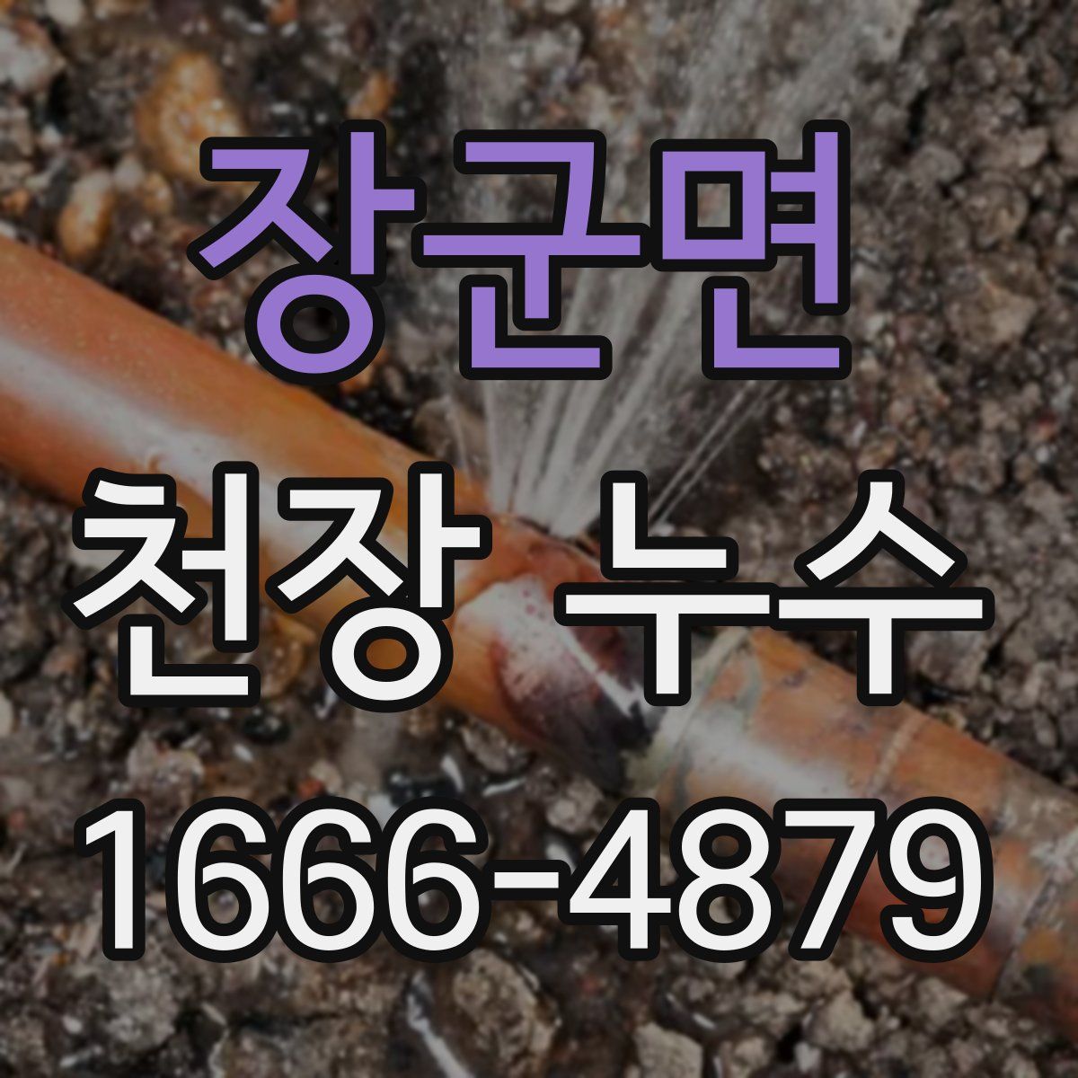 장군면 천장 누수