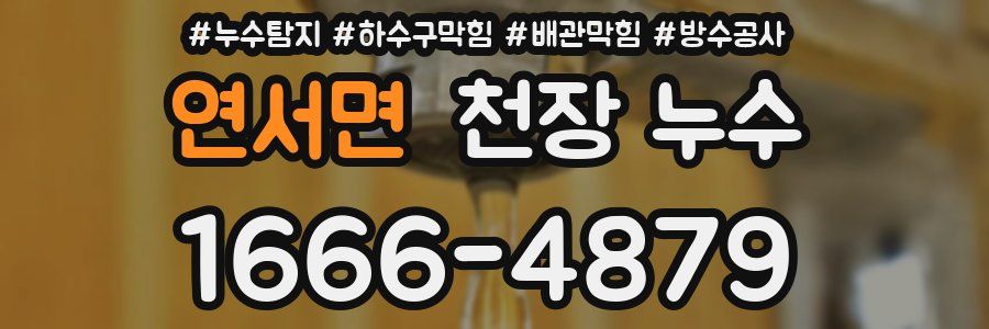 연서면 천장 누수