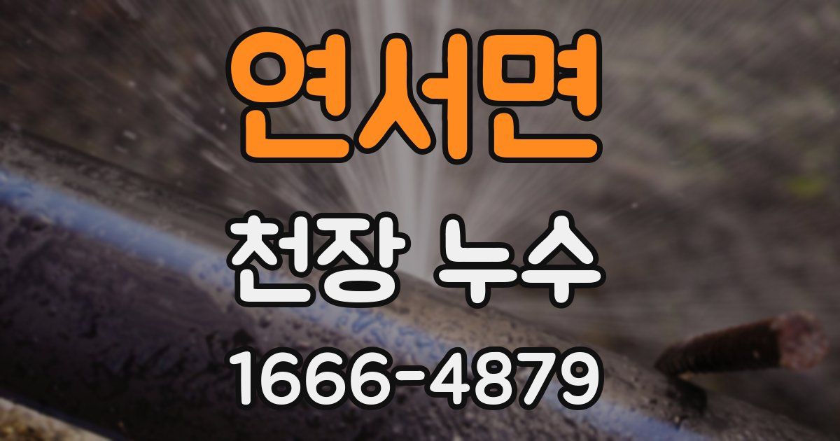 연서면 천장 누수