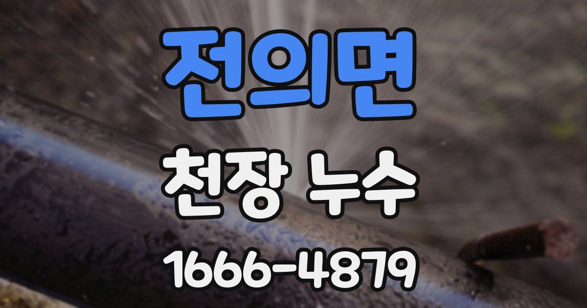 전의면 천장 누수
