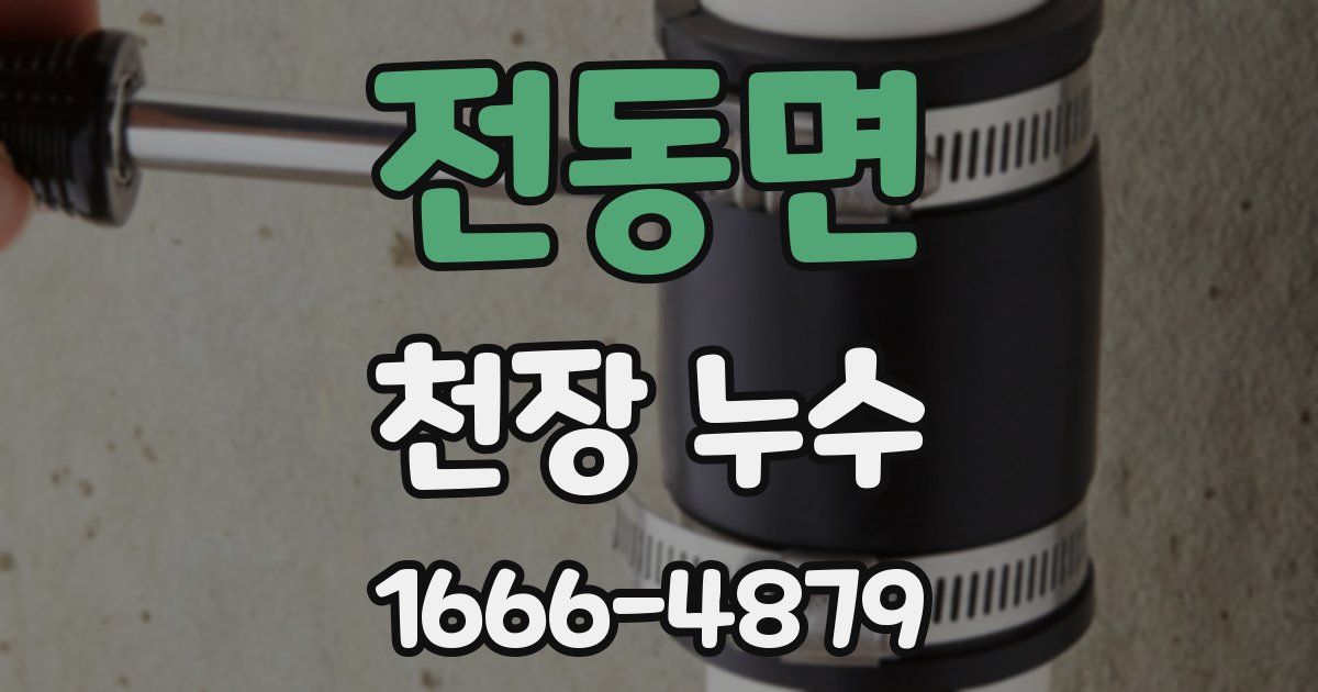 전동면 천장 누수