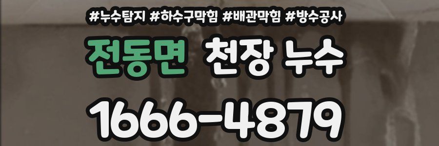 전동면 천장 누수