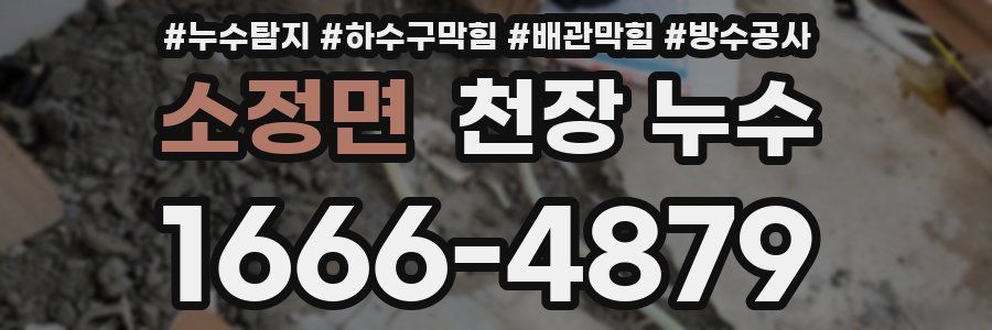 소정면 천장 누수