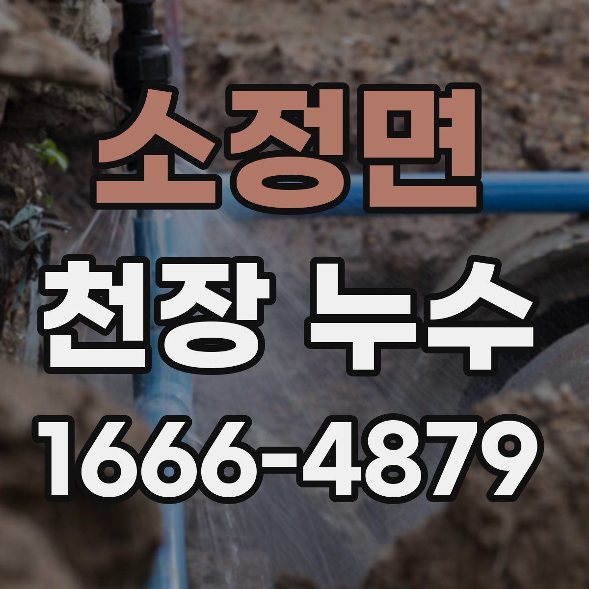 소정면 천장 누수