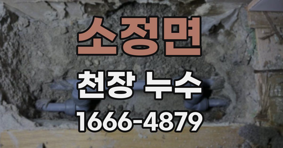소정면 천장 누수