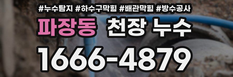 파장동 천장 누수