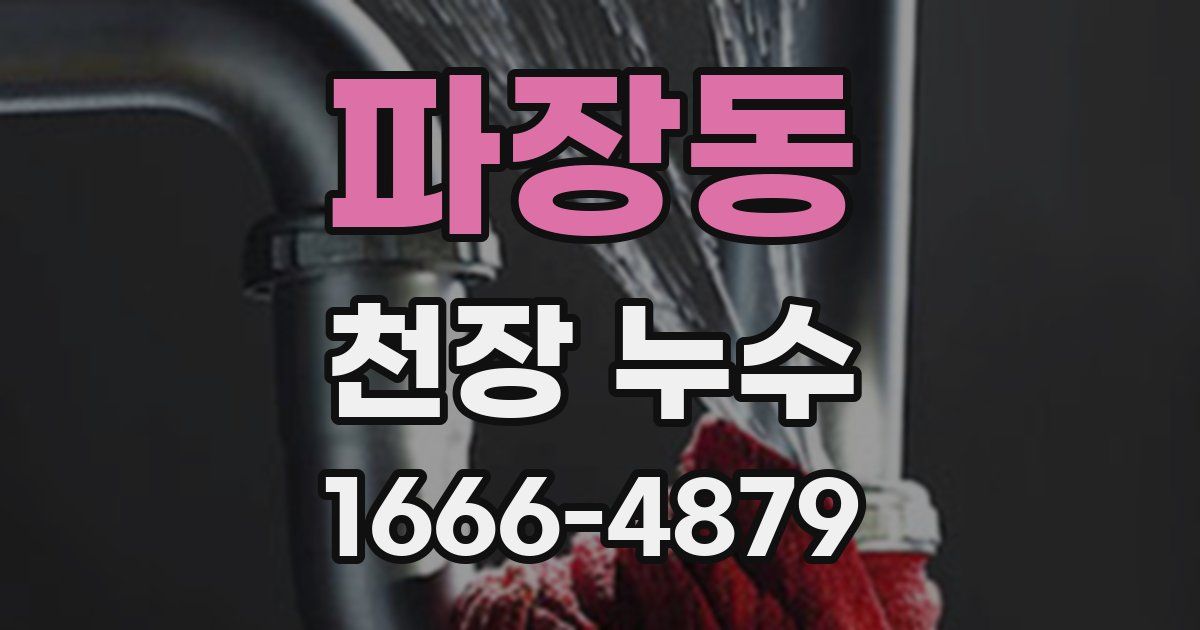 파장동 천장 누수