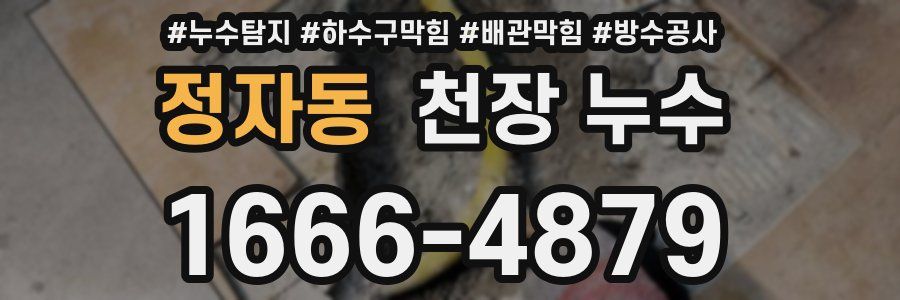 정자동 천장 누수