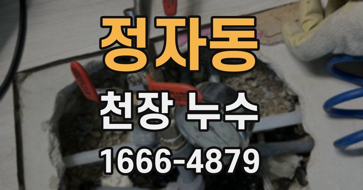 정자동 천장 누수