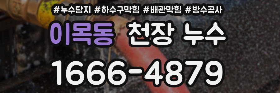 이목동 천장 누수