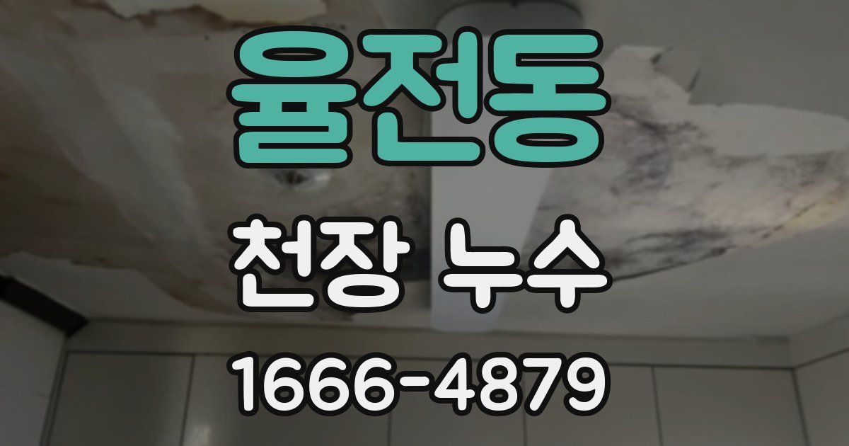 율전동 천장 누수